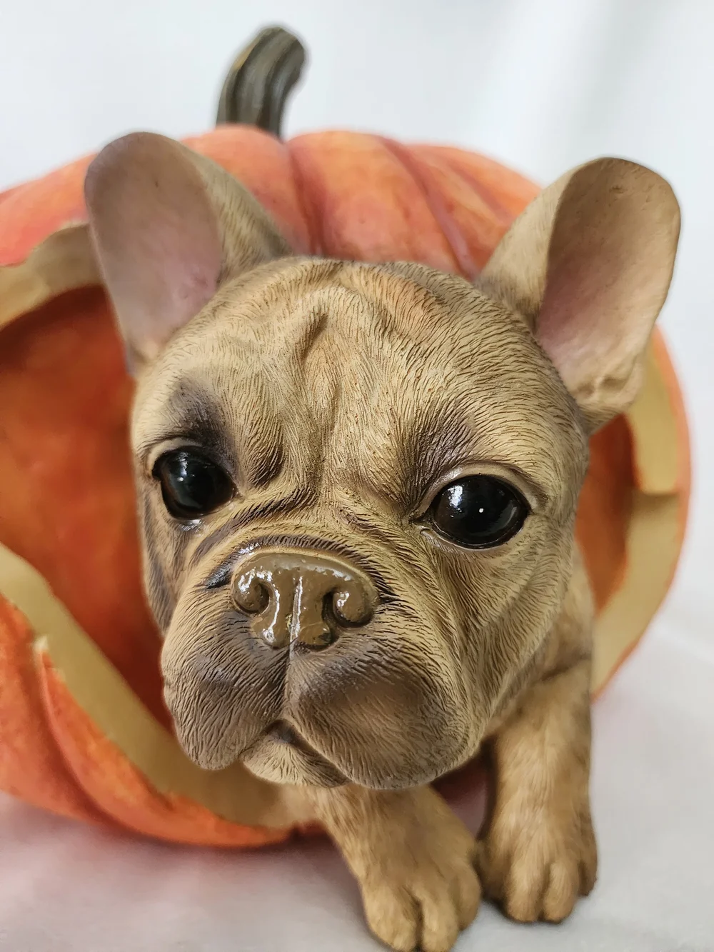 Orange Pumpkin French Bull Dog Hideaway Figurine - Decorative